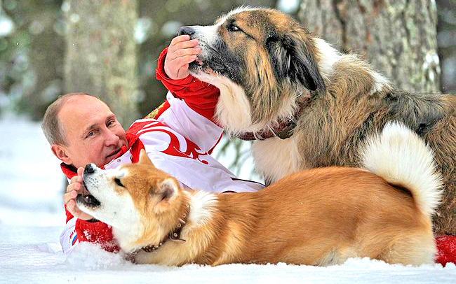 Как зовут собаку Путина? Какой породы собака у Путина?