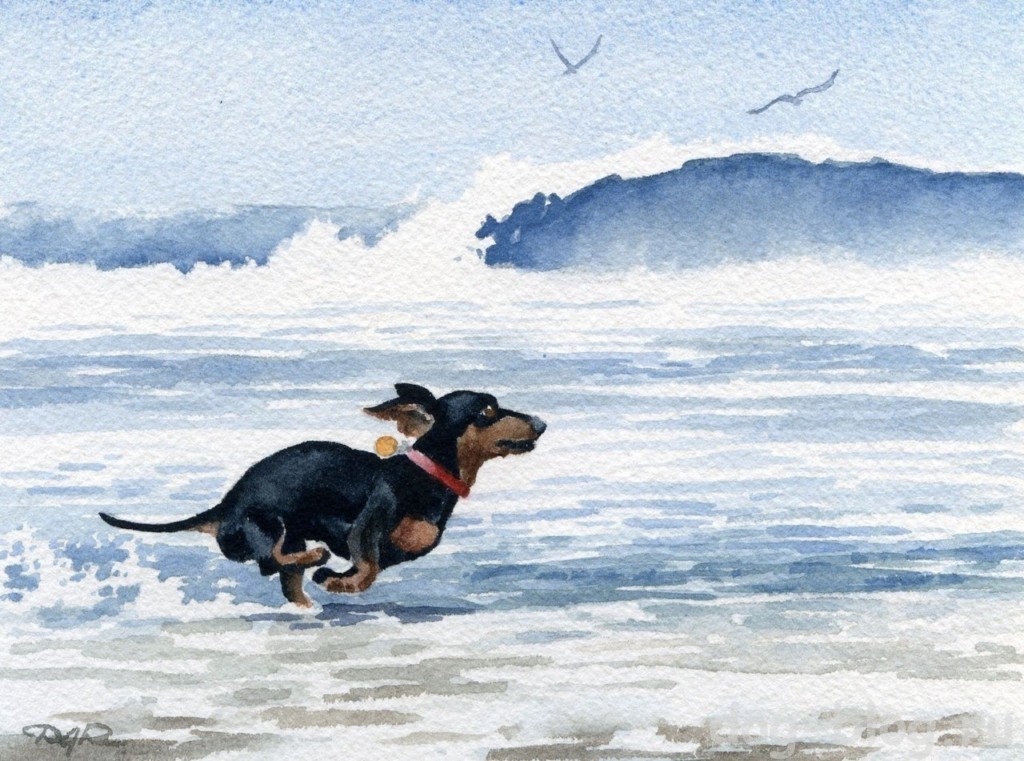 собака на море в живописи
