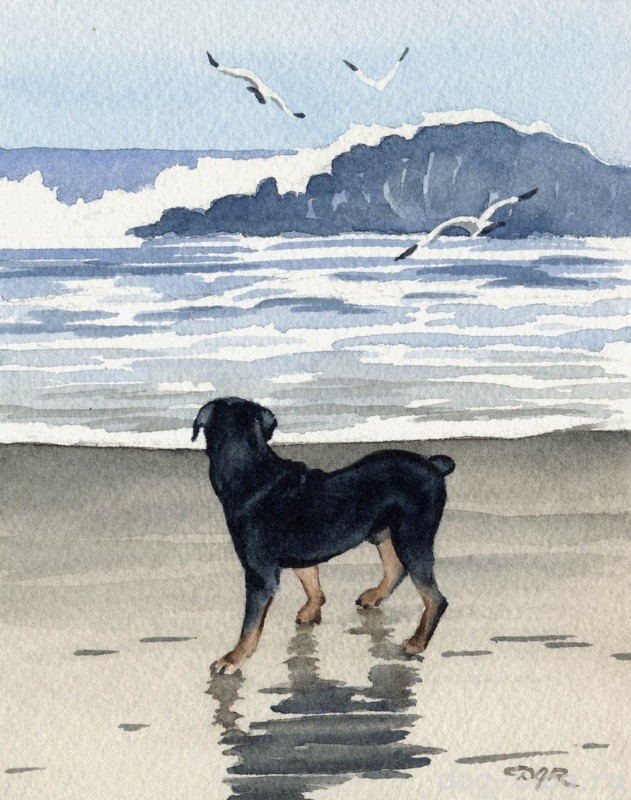 изображение собаки в живописи
