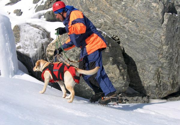 Для собак из службы спасения и охраны нужны редкие клички