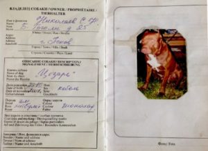 Сделать паспорт для собаки