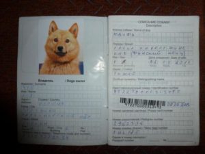 Сделать паспорт для собаки