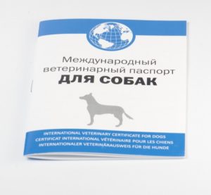 Международный паспорт собаке