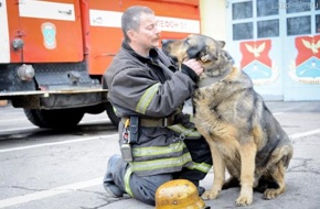 Собаки пожарные