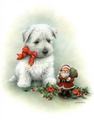 Christmas Dog - dogs fan art