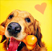 Cute Dog Icons - dogs icon