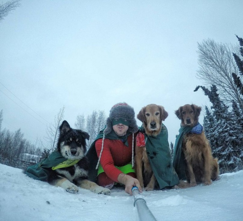 Стоматолог из Аляски и его мимимишные собаки покорили интернет