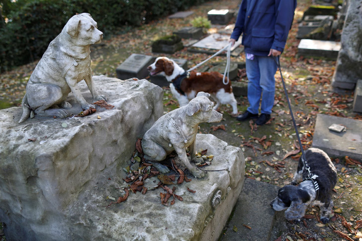  1. «Кладбище собак» представляет собой вытянутую в длину территорию, которая выходит на Сену. З