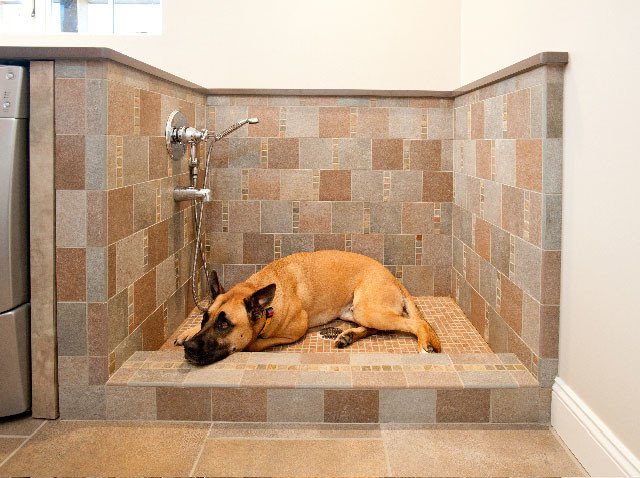 Дизайн интерьера ванной для животных от Angelini and Associates Architects