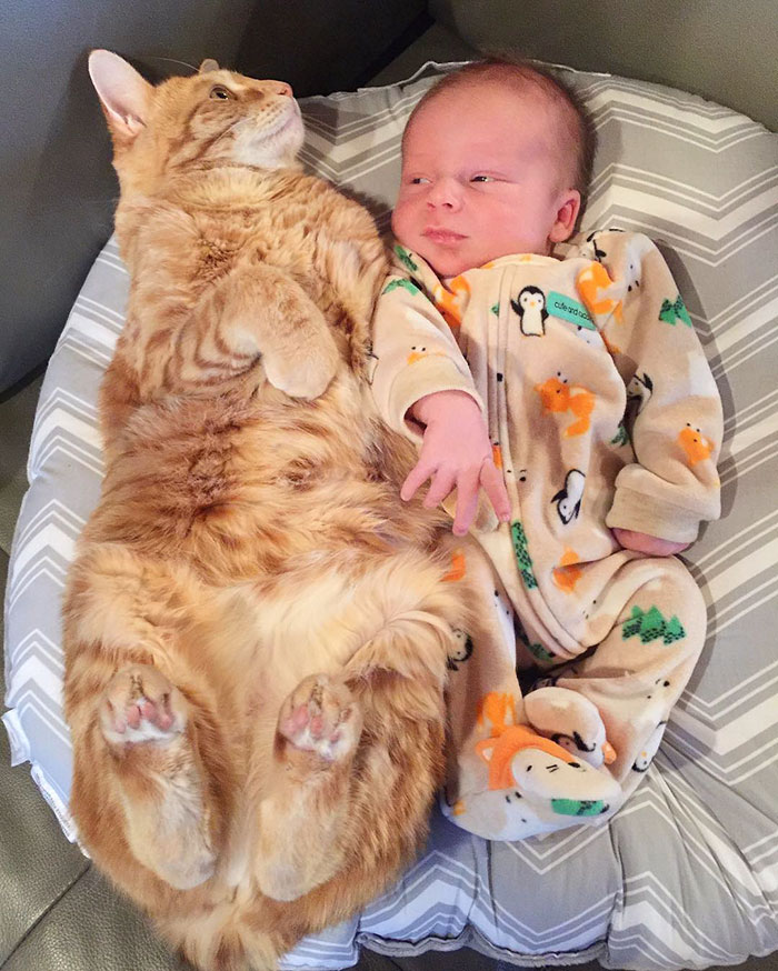 Кот спит с ребенком