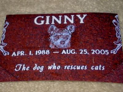 Джинни - собака, спасающая кошек (Ginny)