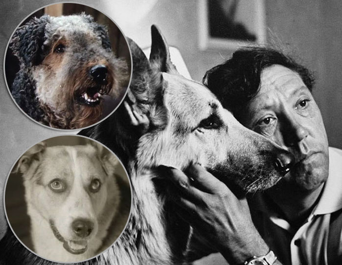 Самые известные собаки советского кино