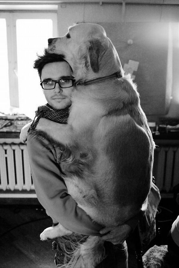 собаки обнимаются, собака обнимается с хозяином, собачьи объятия