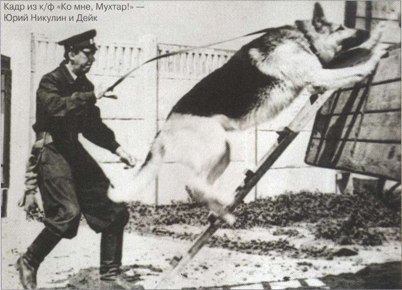Самые популярные породы собак в СССР