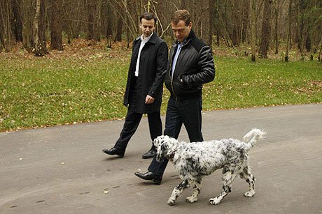 президенты и собаки