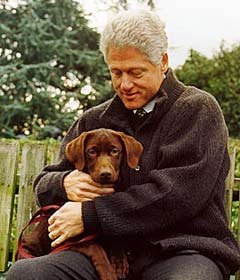 Бил Клинтон с собакой