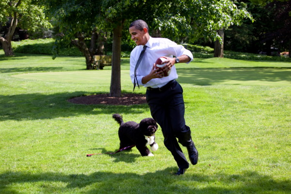 Борак Обама с собакой Бо