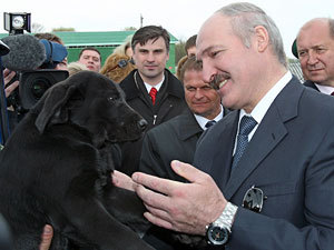 президент Белоруссии Александр Лукашенко с собакой
