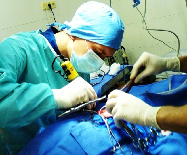Хирургическая операция н ветеринарном столе