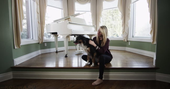Собака и хозяйка сидящие рядом с пианино
