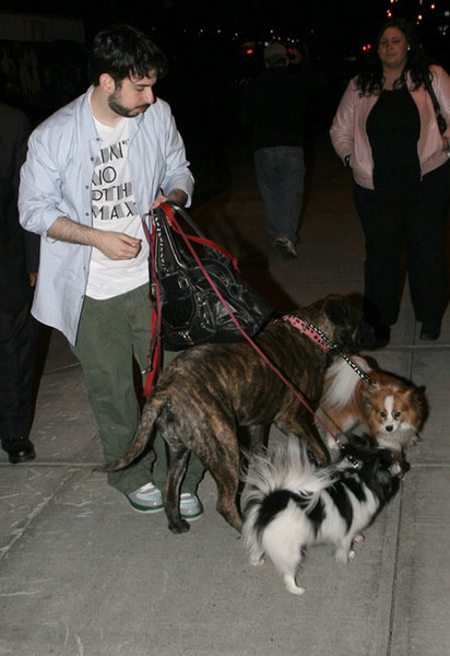 Муж Кристины Агилеры, Джордан Брэтман, выгуливает звездный выводок собак