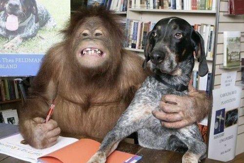 Собака и обезьяна