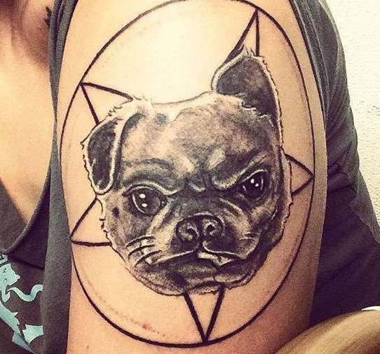 Татуировка собака на плече