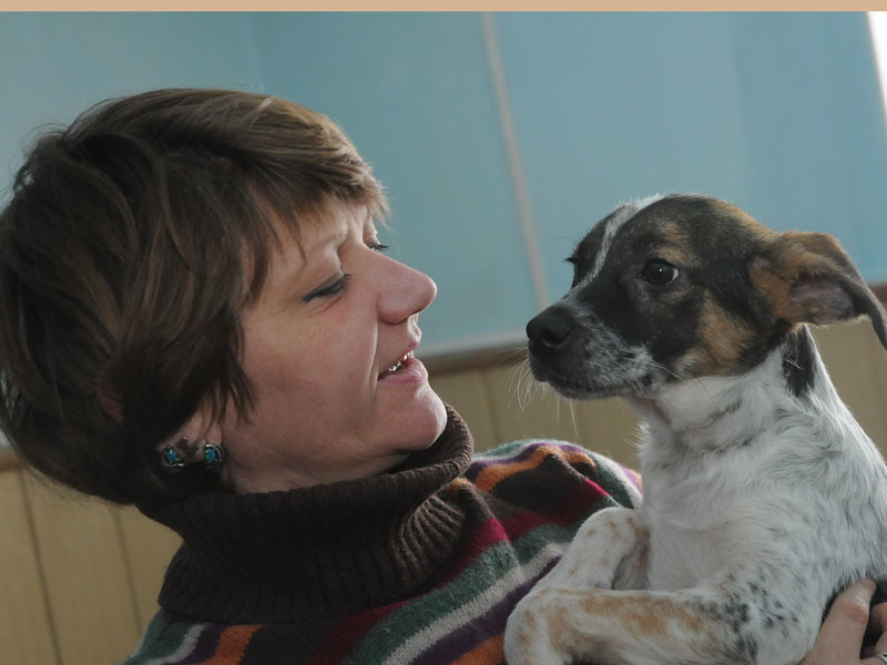 <p>В приюте находится более 400 собак, я бы с радостью написала вам о каждой. <a href="http://dog-omsk.ru/">Информацию о всех вы можете найти на сайте приюта Друг.</a></p> животные, интересное, омск, помощь, приют, собаки, спасение