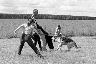 Дмитрий Фатин - Атакующие собаки. Мифы и реальность современной дрессировки