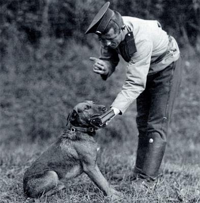 Русский солдат обучает собаку