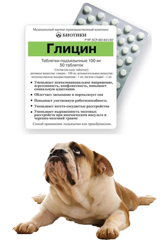 Глицин для собаки
