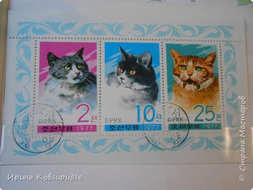 С 90-х годов лежит у нас дома коллекция марок. Начинаю показ с животных: коты, собаки, кони.
Эти коты из Экваториальной Гвинеи - так написано. фото 2