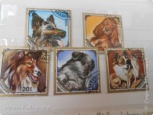 С 90-х годов лежит у нас дома коллекция марок. Начинаю показ с животных: коты, собаки, кони.
Эти коты из Экваториальной Гвинеи - так написано. фото 8