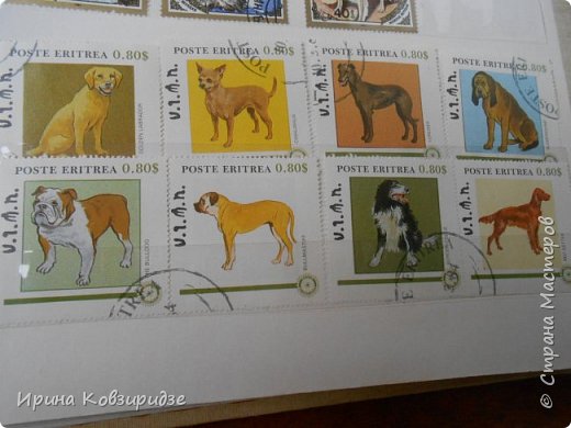 С 90-х годов лежит у нас дома коллекция марок. Начинаю показ с животных: коты, собаки, кони.
Эти коты из Экваториальной Гвинеи - так написано. фото 9