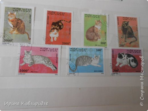 С 90-х годов лежит у нас дома коллекция марок. Начинаю показ с животных: коты, собаки, кони.
Эти коты из Экваториальной Гвинеи - так написано. фото 4