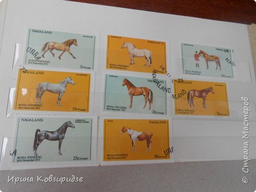 С 90-х годов лежит у нас дома коллекция марок. Начинаю показ с животных: коты, собаки, кони.
Эти коты из Экваториальной Гвинеи - так написано. фото 20