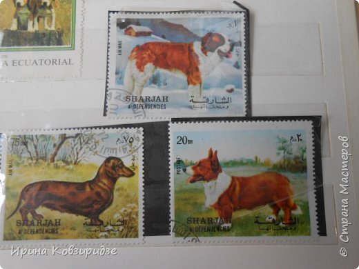 С 90-х годов лежит у нас дома коллекция марок. Начинаю показ с животных: коты, собаки, кони.
Эти коты из Экваториальной Гвинеи - так написано. фото 11