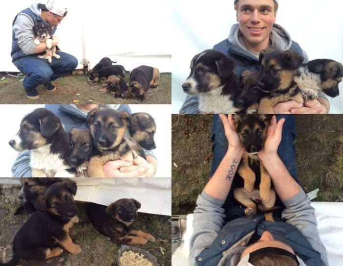 Спортсмены США забирают домой бродячих собак из Сочи (9 фото)