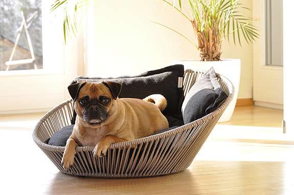 dog-cushion-2