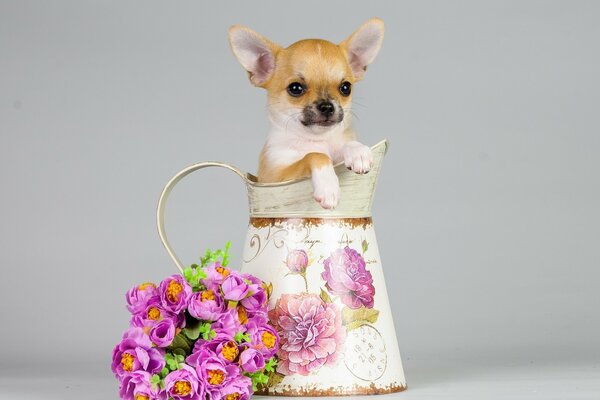 собака щенок кувшин цветы букет