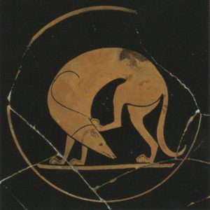 Собака, чешующая голову. Фрагмент красно-фигурной чаши. 500 г до н.э.