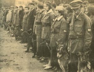 Центральной школы военного собаководства, 1931