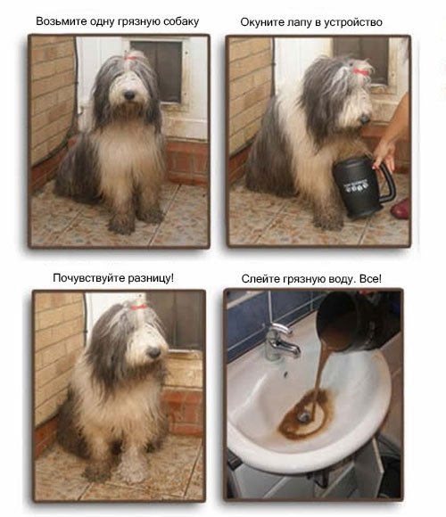 Современные устройства для собак фото 5
