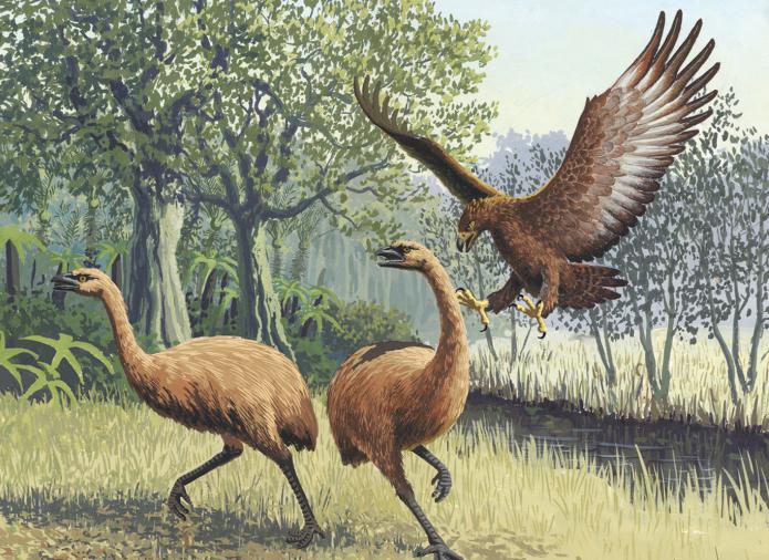 доисторические птицы хищники