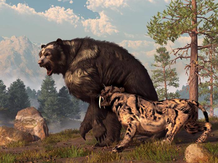 доисторические хищники медведь