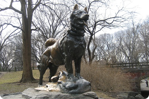 Памятник Балто в Центральном парке Нью Йорка