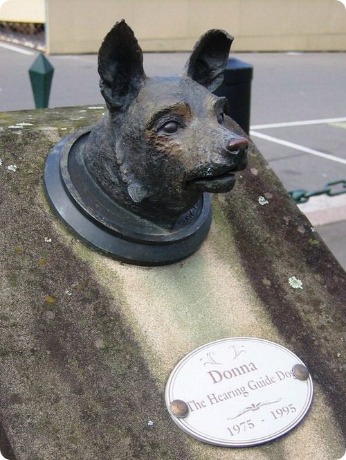 Памятник собаке Донне