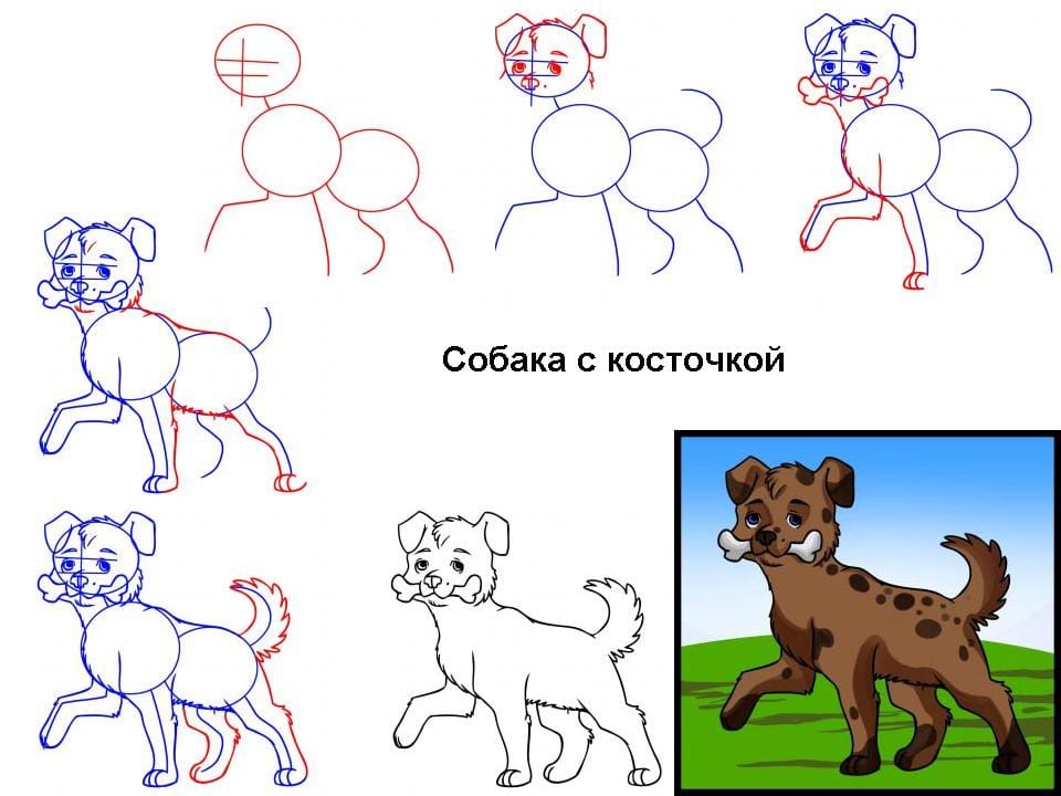 как нарисовать собаку с косточкой