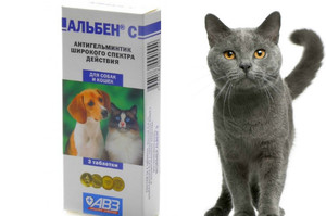 Инструкция по применения препарата Альбен для собак и кошек