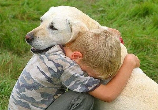 Собака в жизни оебенка – это не только друг!